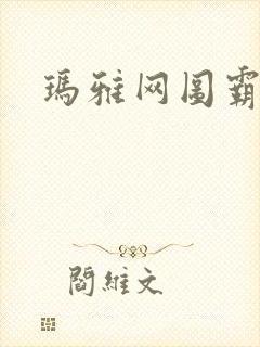 玛雅网图霸天下