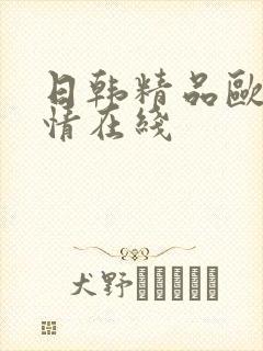 日韩精品欧美激情在线