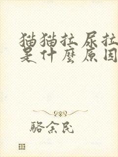 猫猫拉尿拉出血是什么原因