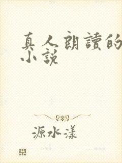 真人朗读的有声小说