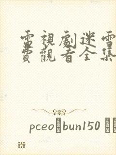 电视剧迷雪宫免费观看全集