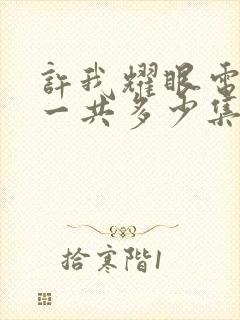 许我耀眼电视剧一共多少集