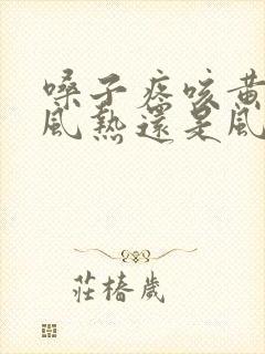 嗓子疼咳黄痰是风热还是风寒