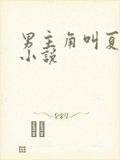 男主角叫夏东的小说