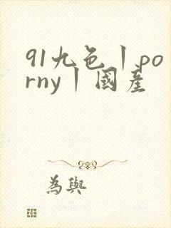 91九色丨porny丨国产