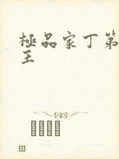 极品家丁第一版主