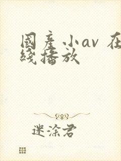 国产小av 在线播放