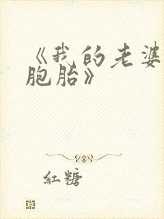 《我的老婆是双胞胎》