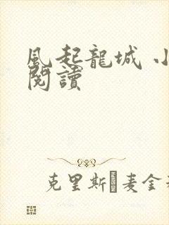 风起龙城 小说阅读