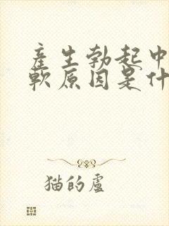 产生勃起中途疲软原因是什么