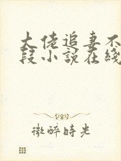 大佬追妻不择手段小说在线