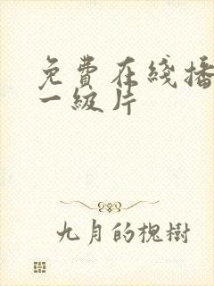 免费在线播放的一级片