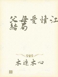 父母爱情江卫民结局封面
