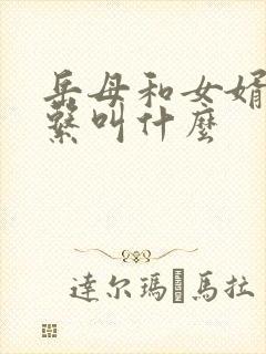 岳母和女婿的关系叫什么