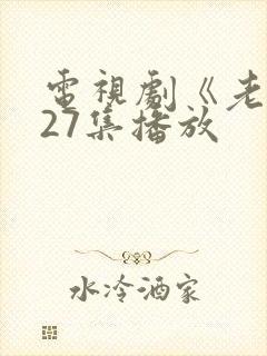 电视剧《老舅》27集播放