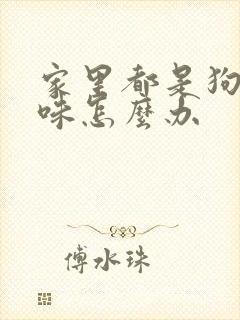 家里都是狗尿骚味怎么办