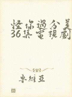 怪你过分美丽全36集电视剧