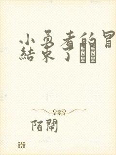 小勇者的冒险要结束了封面