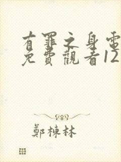 有罪之身电视剧免费观看12集高清封面