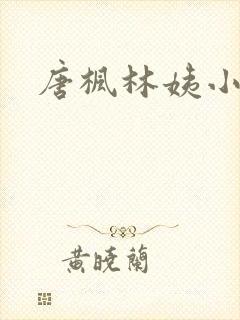 唐枫林姨小说封面