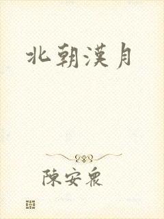 北朝汉月封面