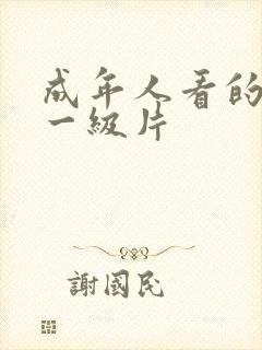 成年人看的黄色一级片封面