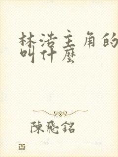 林浩主角的小说叫什么封面