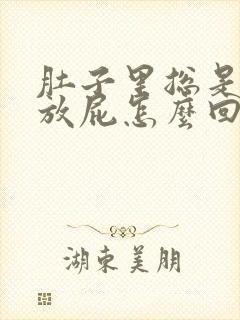 肚子里总是有气放屁怎么回事