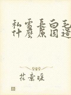 私处长白毛毛是什么原因造成的