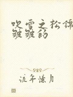 吹雪之松锦为啥皱皱的