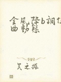 金风降b调伴奏曲动态封面