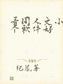 看同人文小说哪个软件好封面