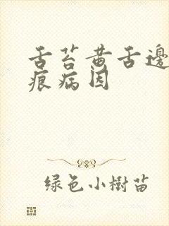 舌苔黄舌边有齿痕病因