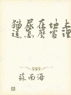 猫尿在地上的味道怎么处理封面