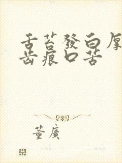 舌苔发白厚腻有齿痕口苦