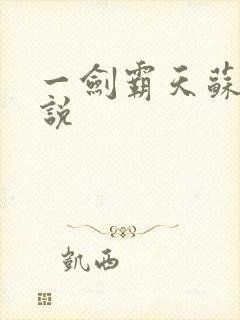 一剑霸天苏信小说