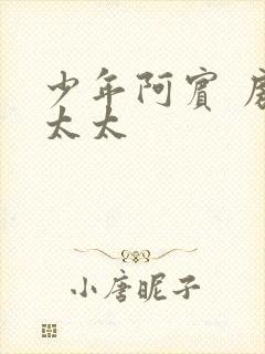 少年阿宾 房东太太