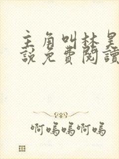 主角叫林昊的小说免费阅读封面