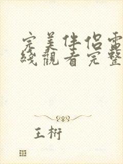 完美伴侣电影在线观看完整版免费