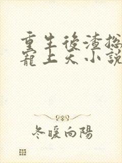 重生后渣总把我宠上天小说完整版封面