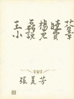 王磊杨晓芬后妈小说免费章节