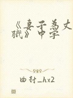 《妻子为丈夫升职》中字