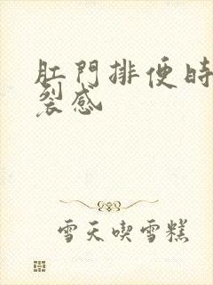 肛门排便时有撕裂感