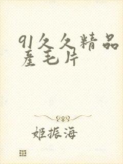 91久久精品国产毛片