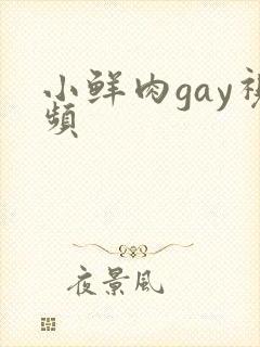 小鲜肉gay视频