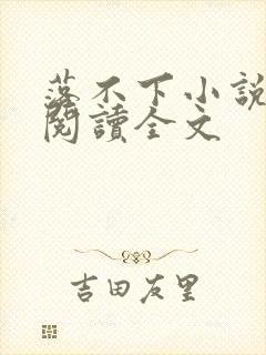 落不下小说免费阅读全文