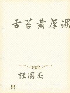 舌苔黄厚湿气重封面