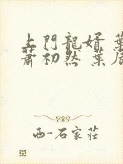 上门龙婿 叶辰萧初然 叶辰萧初然