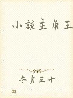 小说主角王满银