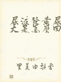 尿液发黄尿骚味大是怎么回事封面